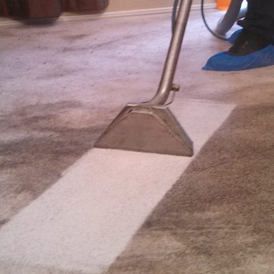 Professional cleaning brings your carpets back to life.