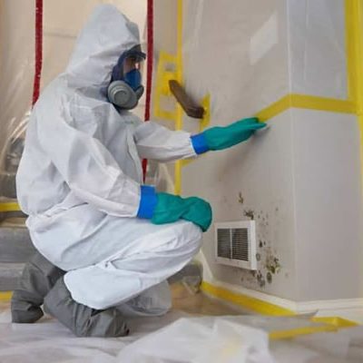 Mold removal by professionals is essential