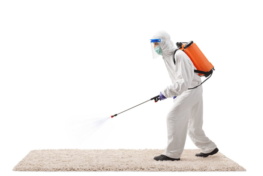 How to Keep Carpets Clean, Sanitized and Healthy in the Age of Covid