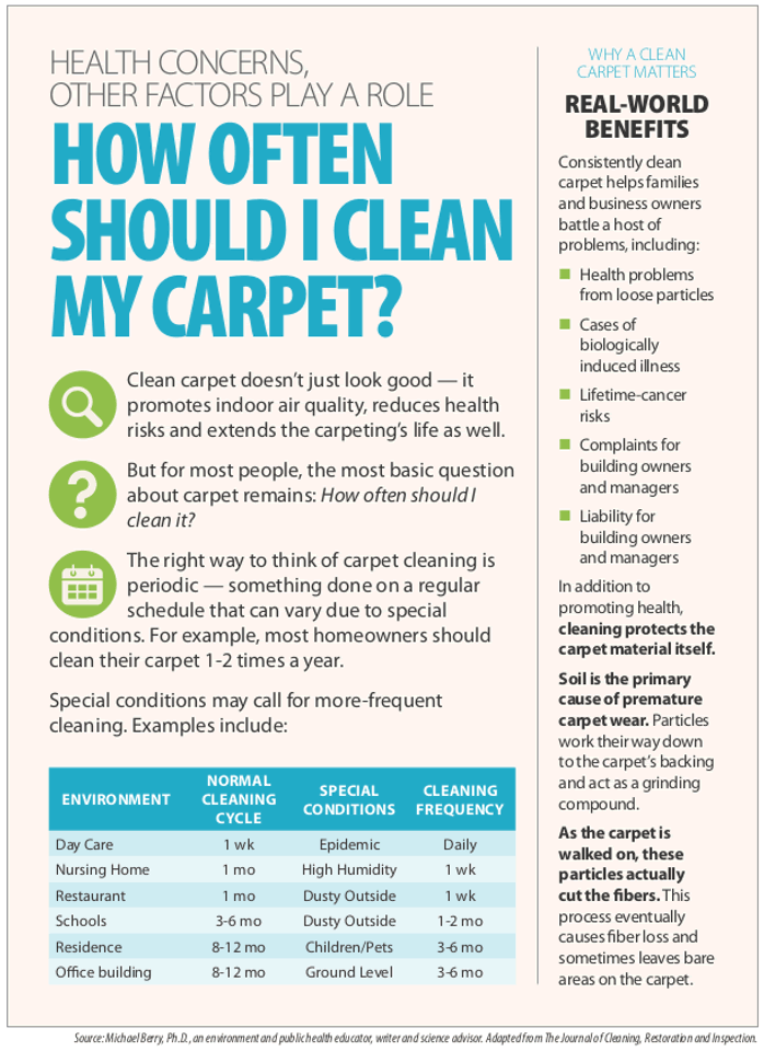carpet cleaning frequency infographic