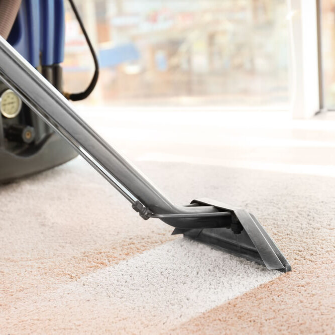 best carpet cleaning clarksville tennessee