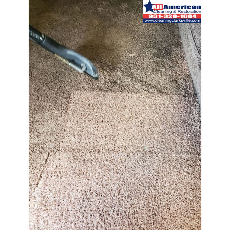 carpet-cleaning-clarksville-tennessee-before-after (1)