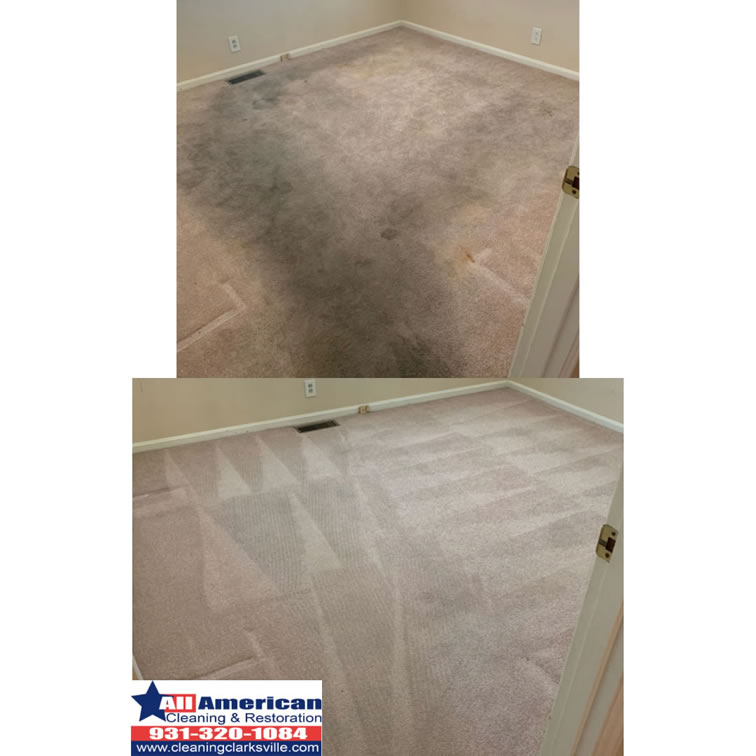 carpet-cleaning-clarksville-tennessee-before-after (10)