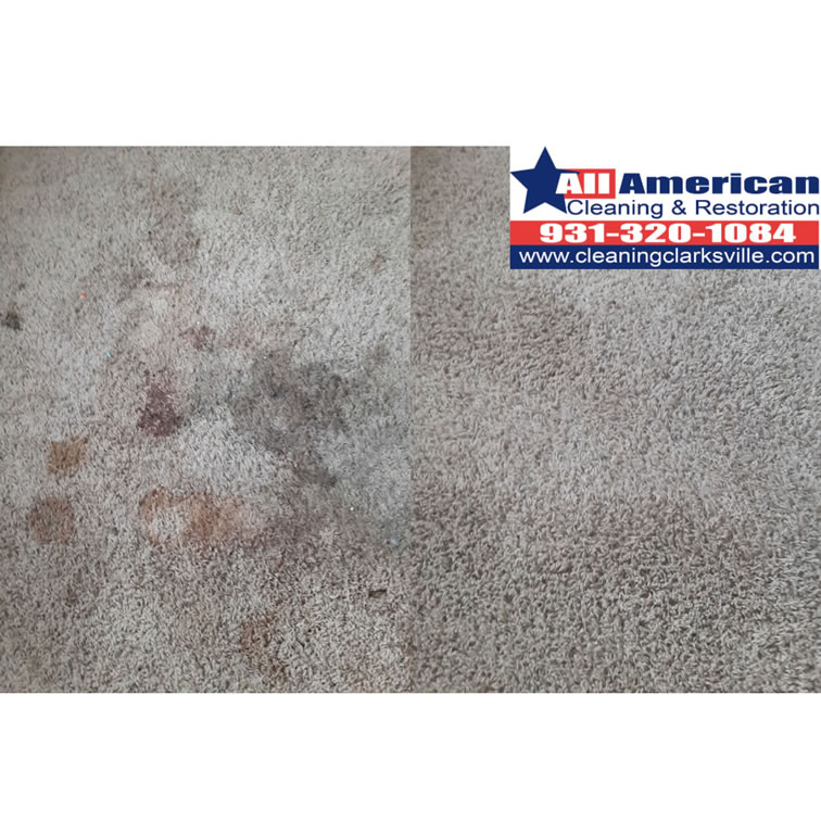 carpet-cleaning-clarksville-tennessee-before-after (12)