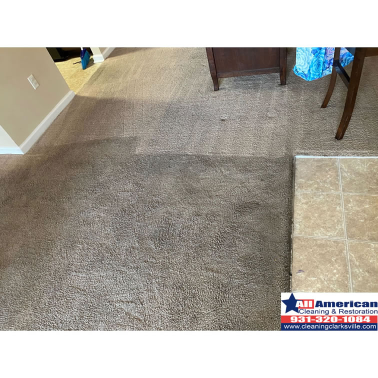 carpet-cleaning-clarksville-tennessee-before-after (15)