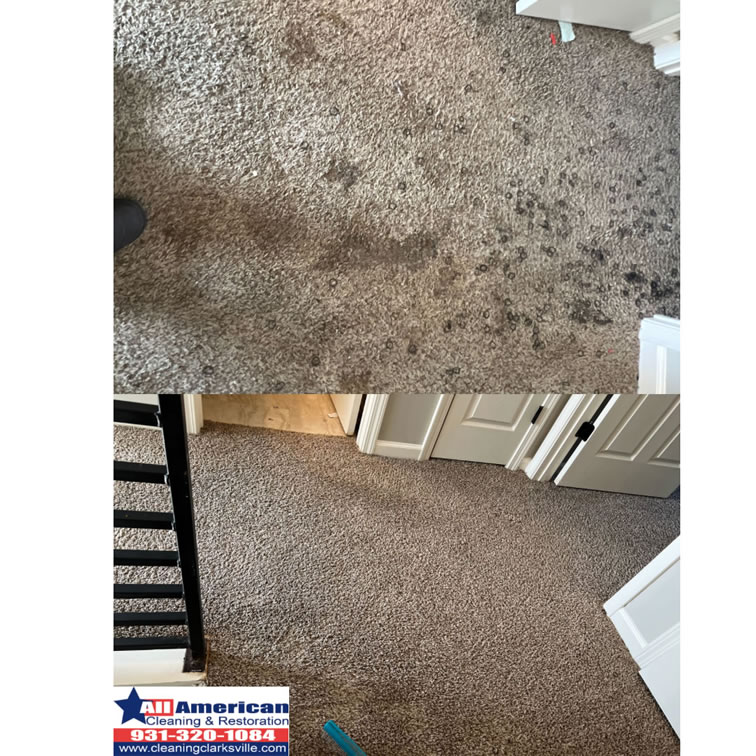 carpet-cleaning-clarksville-tennessee-before-after (2)