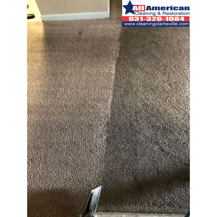 carpet-cleaning-clarksville-tennessee-before-after (23)