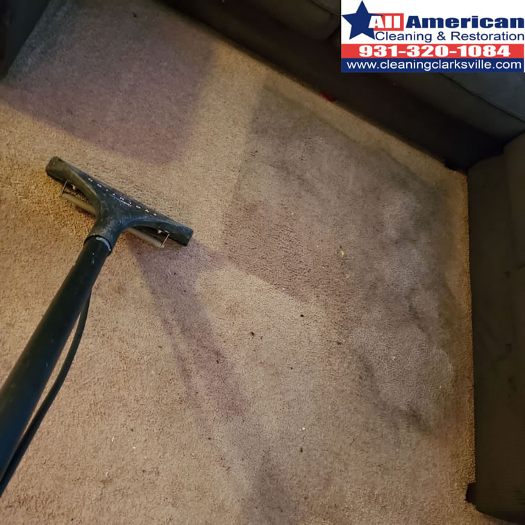 carpet-cleaning-clarksville-tennessee-before-after (25)