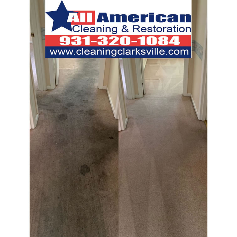 carpet-cleaning-clarksville-tennessee-before-after (27)
