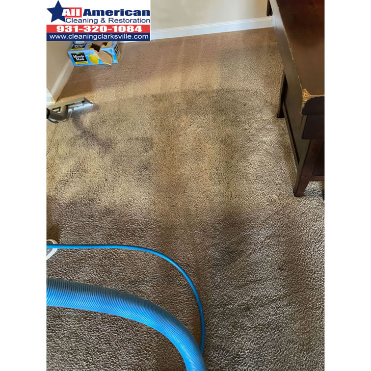 carpet-cleaning-clarksville-tennessee-before-after (28)
