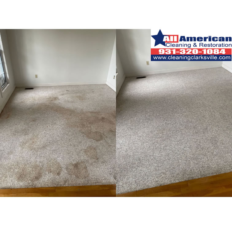 carpet-cleaning-clarksville-tennessee-before-after (30)