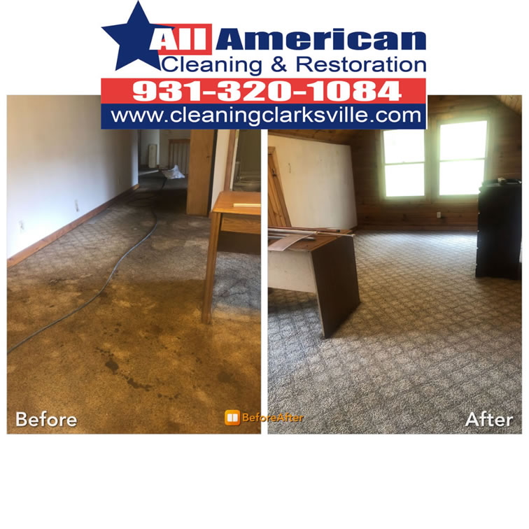 carpet-cleaning-clarksville-tennessee-before-after (4)