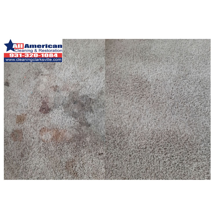carpet-cleaning-clarksville-tennessee-before-after (9)